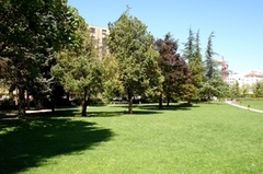 Copyright http://ruesdelyon.wysiup.net/